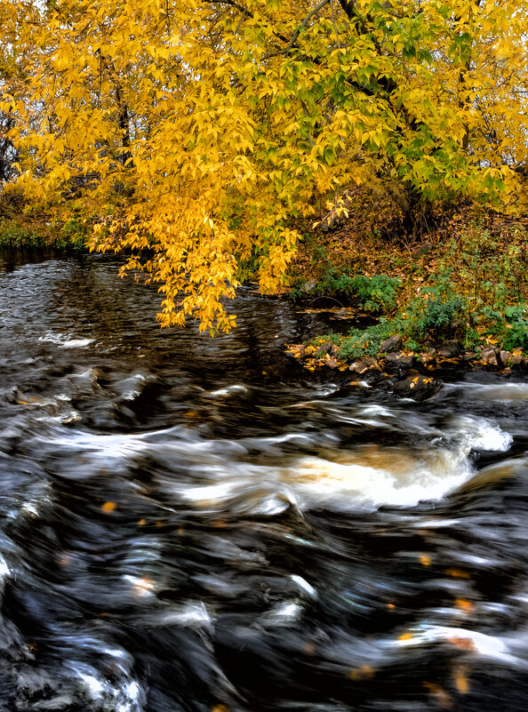 .... - александр 