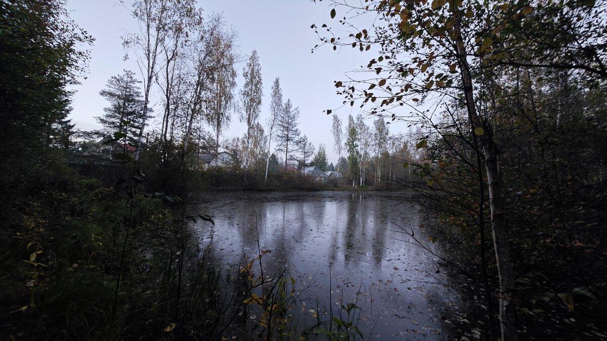 Вечерняя осенняя дымка. - Станислав Мутовин Вечерняя осенняя дымка. - Станислав Мутовин