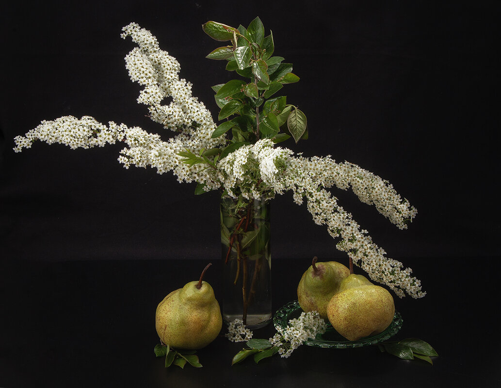 Натюрморт со спиреей и грушами. - Лилия *