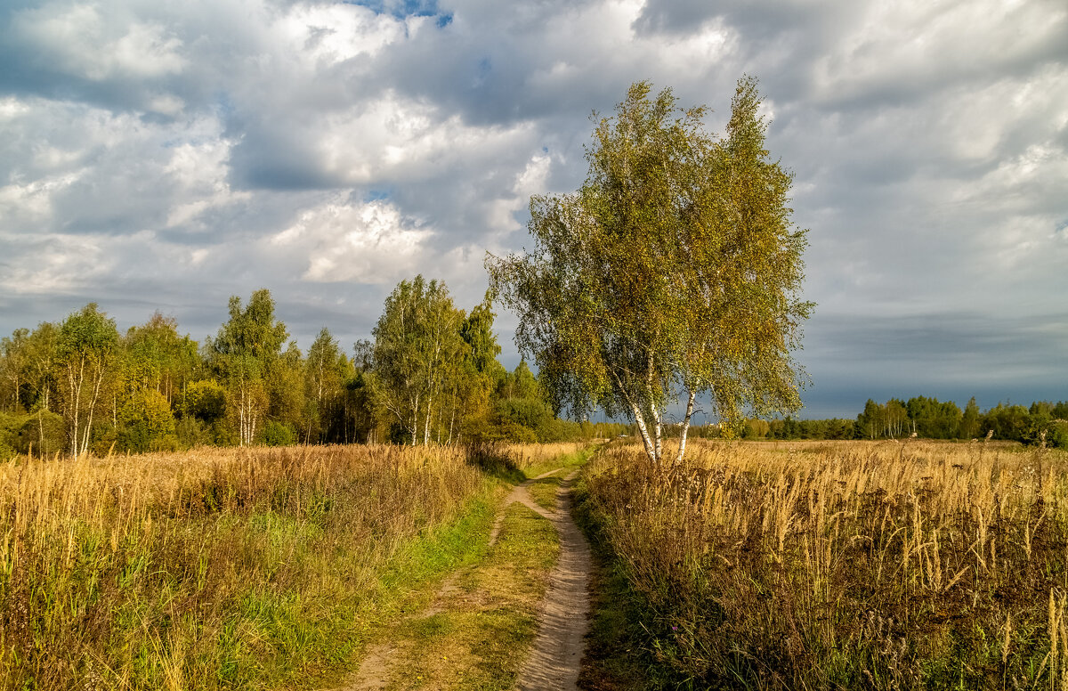 Бабье лето - Андрей Дворников