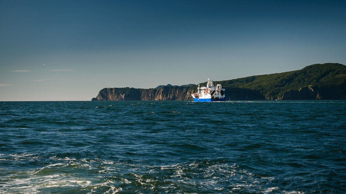 ... - Жора Житников