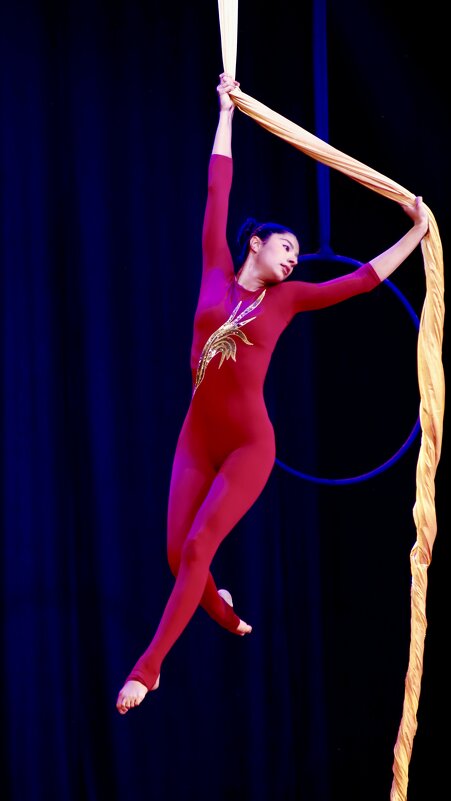 Гимнастка на полотнах - Натали Королева