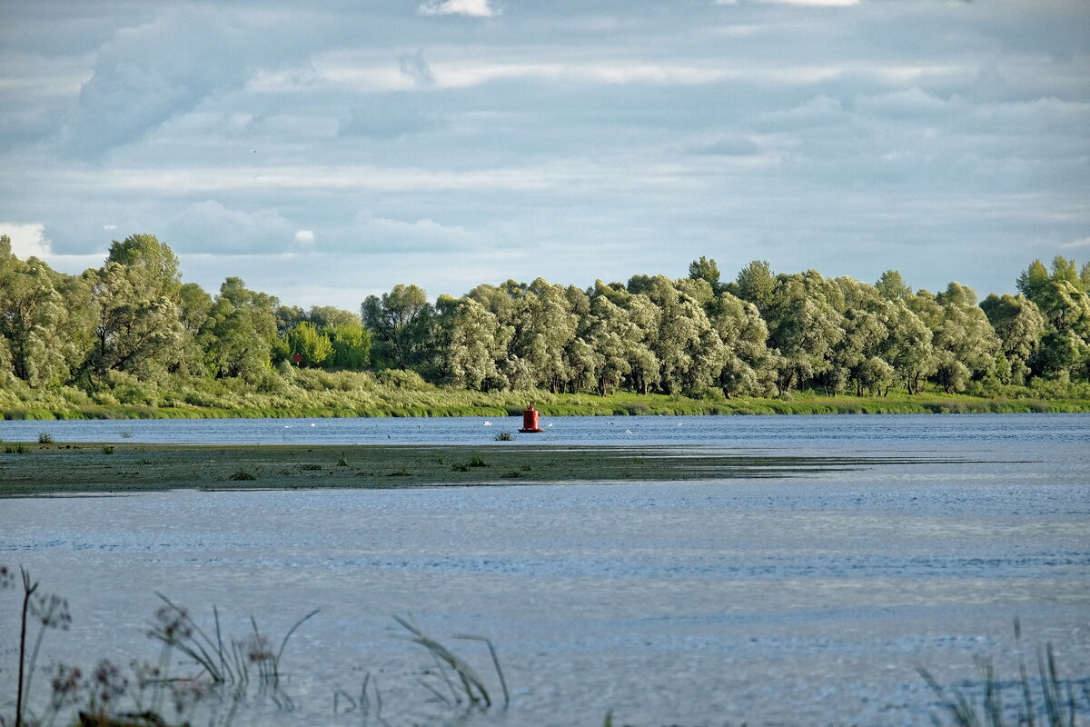 Ока - Валерий Судачок