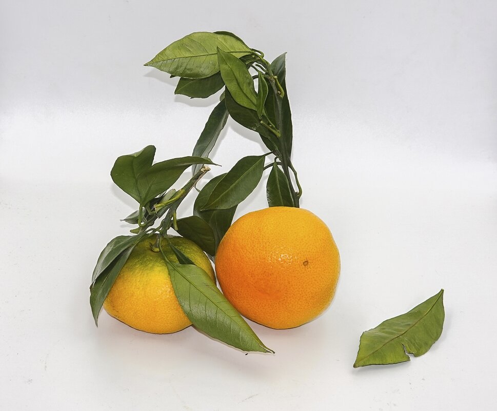 Сладкие и без косточек - Валерий Иванович