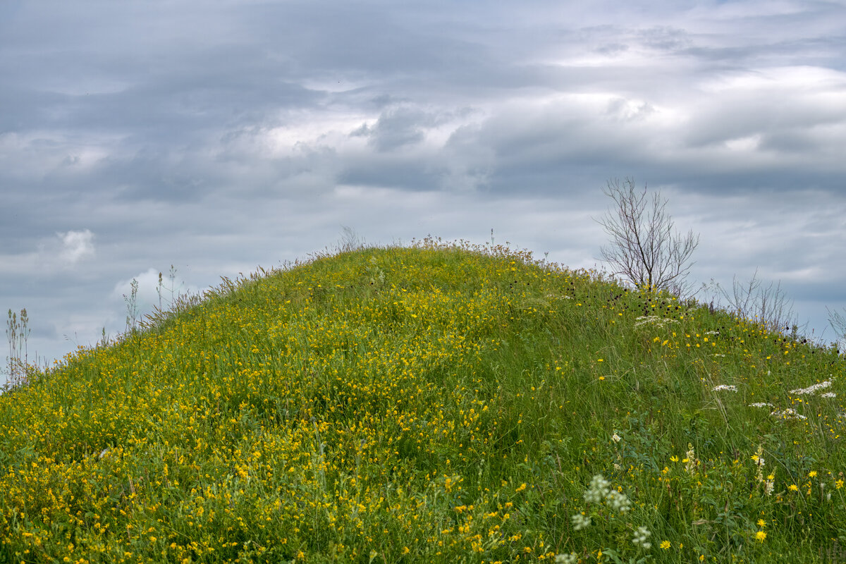 еще чуть чуть и на высоте - Игорь Сикорский