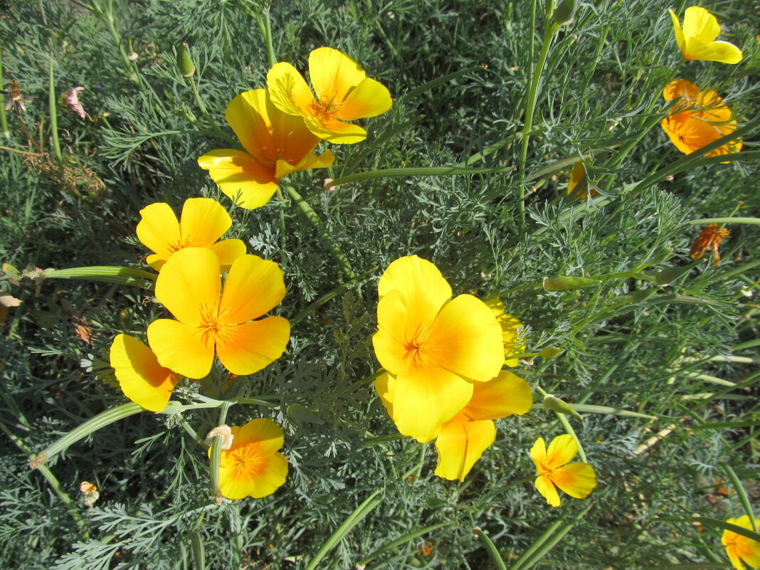 прошлогодний сентябрь - Елена Шаламова