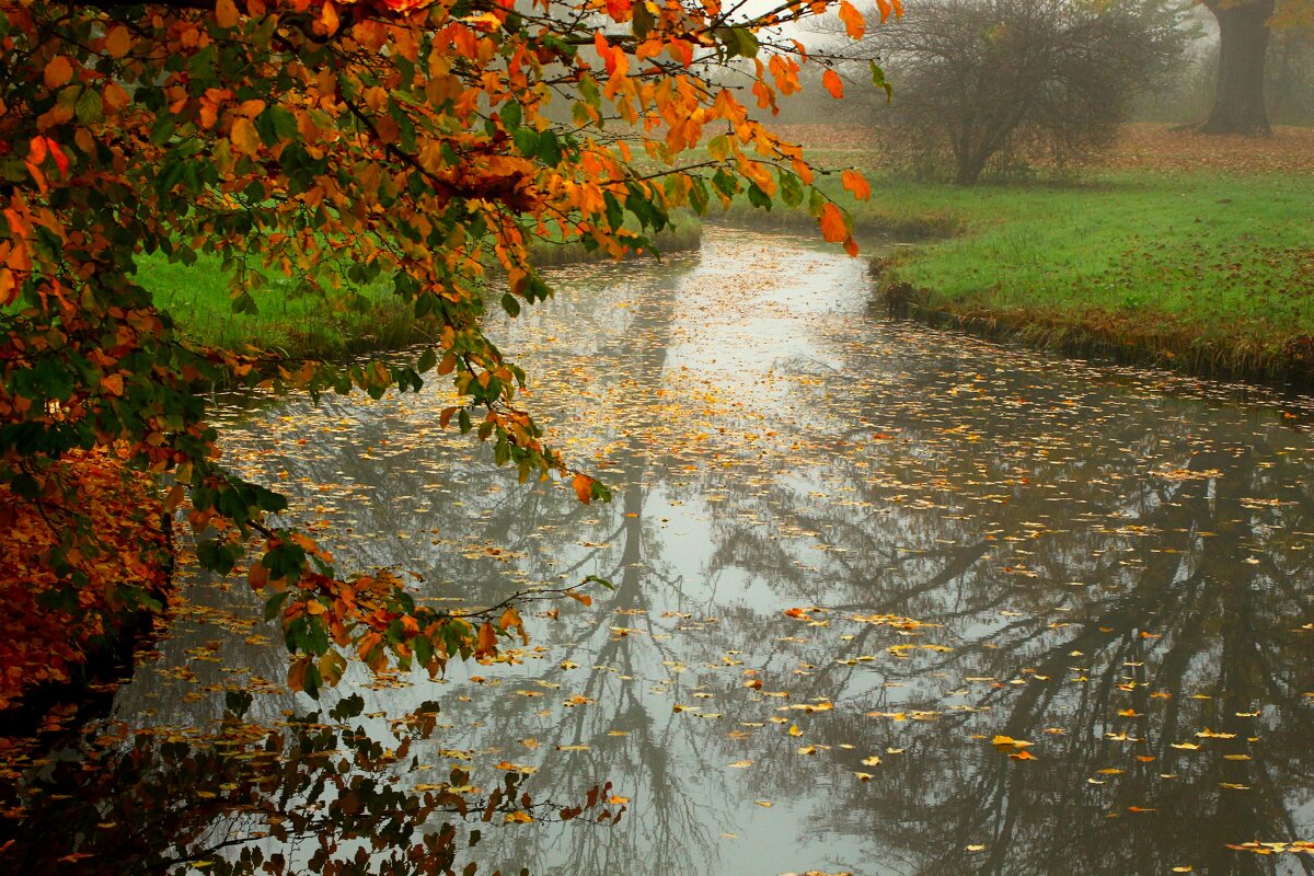 Осенний ручей - Юрий. Шмаков