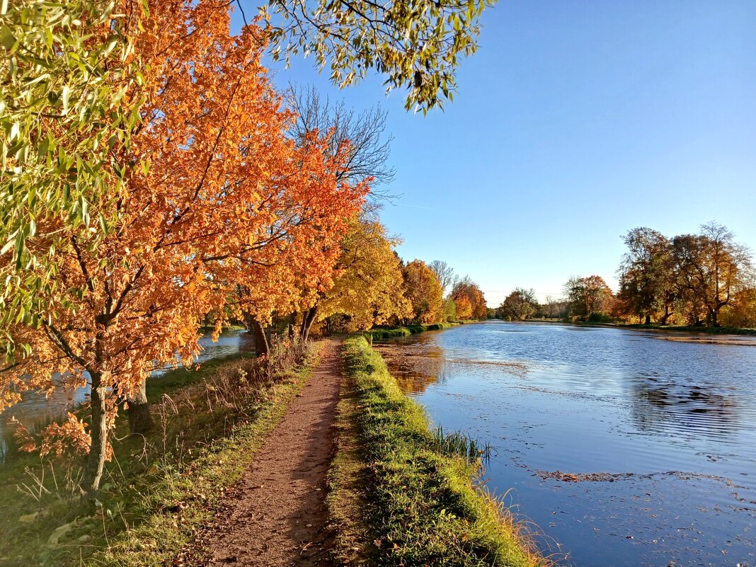Золотой октябрь. - Лия ☼