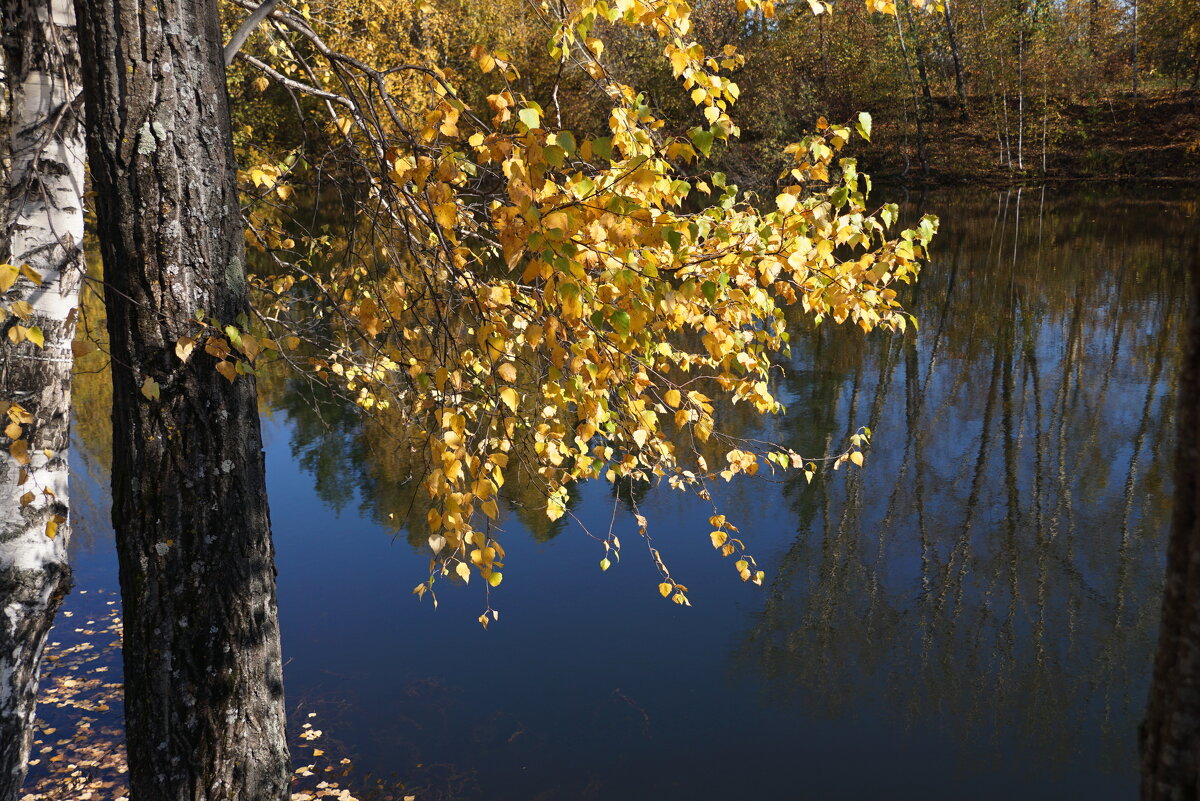 Осень - Наталия Григорьева
