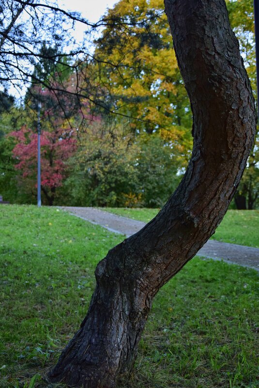 Парк Дружбы - Мария Яковлева