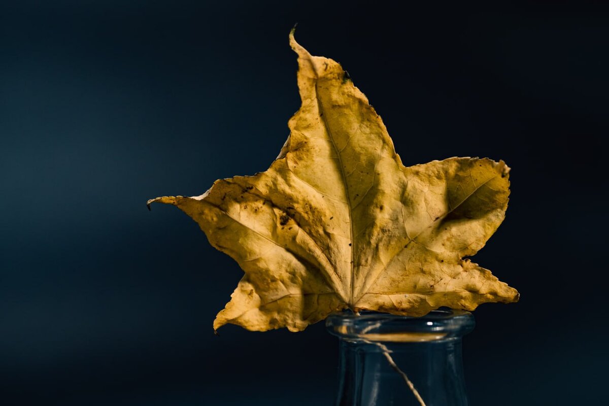 Без названия - Котовский 