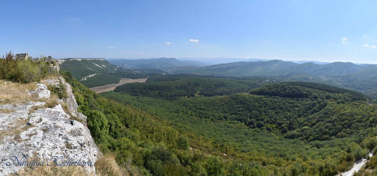 Природа Крыма - Amazing Cosmea