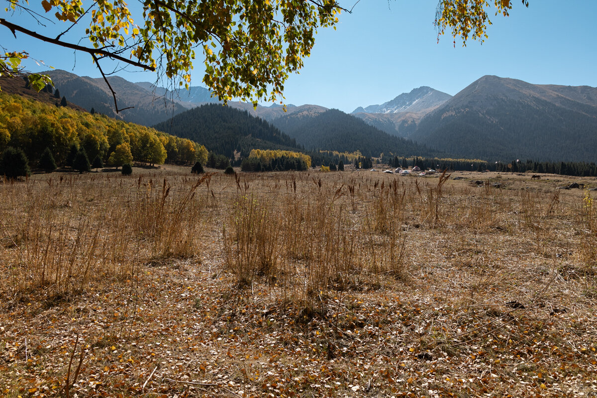 Ставка осени - Алексей Большаков