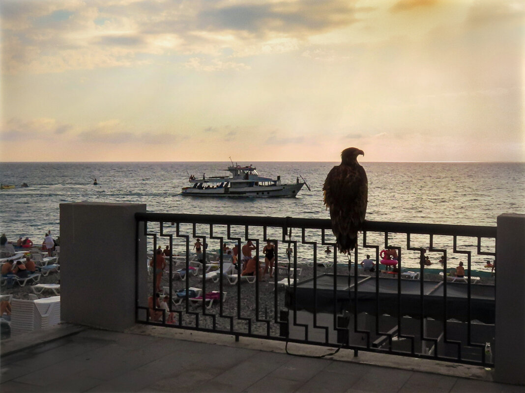 Людишки. И чего всё время суетятся.. - AZ east3