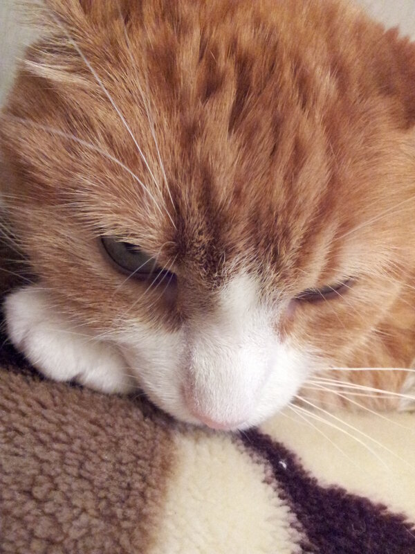 задумался - Владимир 