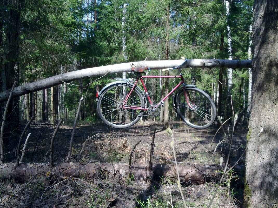 маяк в лесу - Владимир 