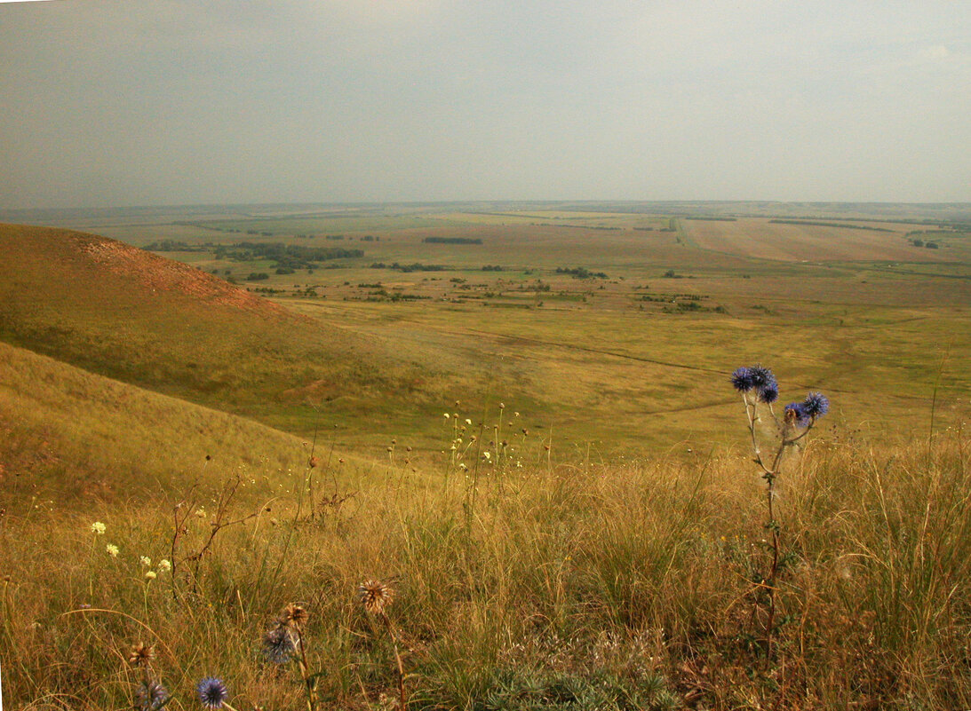 Дальние дали. - Наталья Лунева Дальние дали. - Наталья Лунева