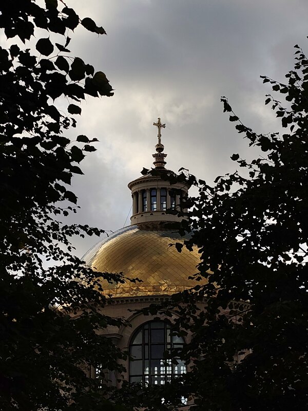 Осень - Андрей 