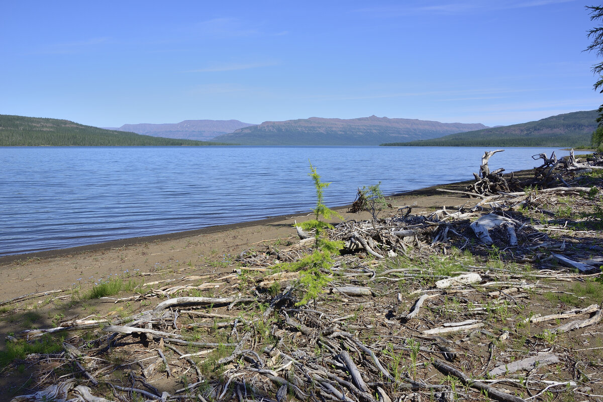 ** - Александр Хаецкий