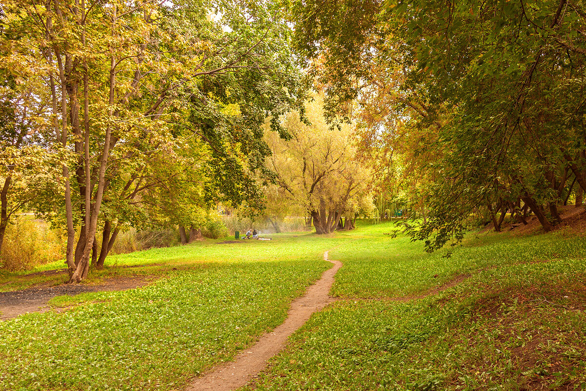 Пикник на лужайке - Виктор Замулин