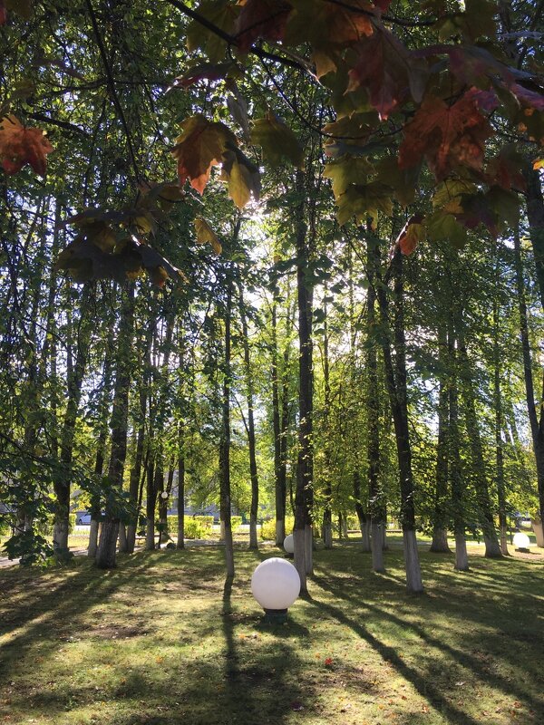 В осеннем парке... - Владимир Павлов