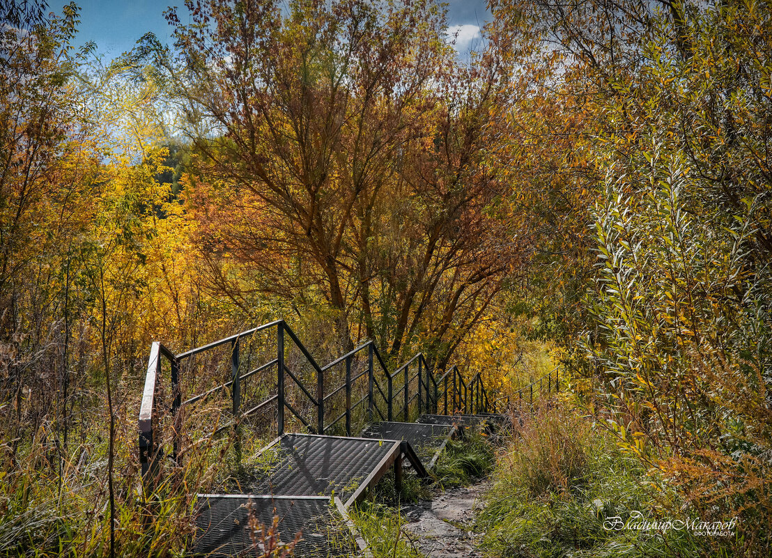"Лестница в сентябрьскую осень"© - Владимир Макаров