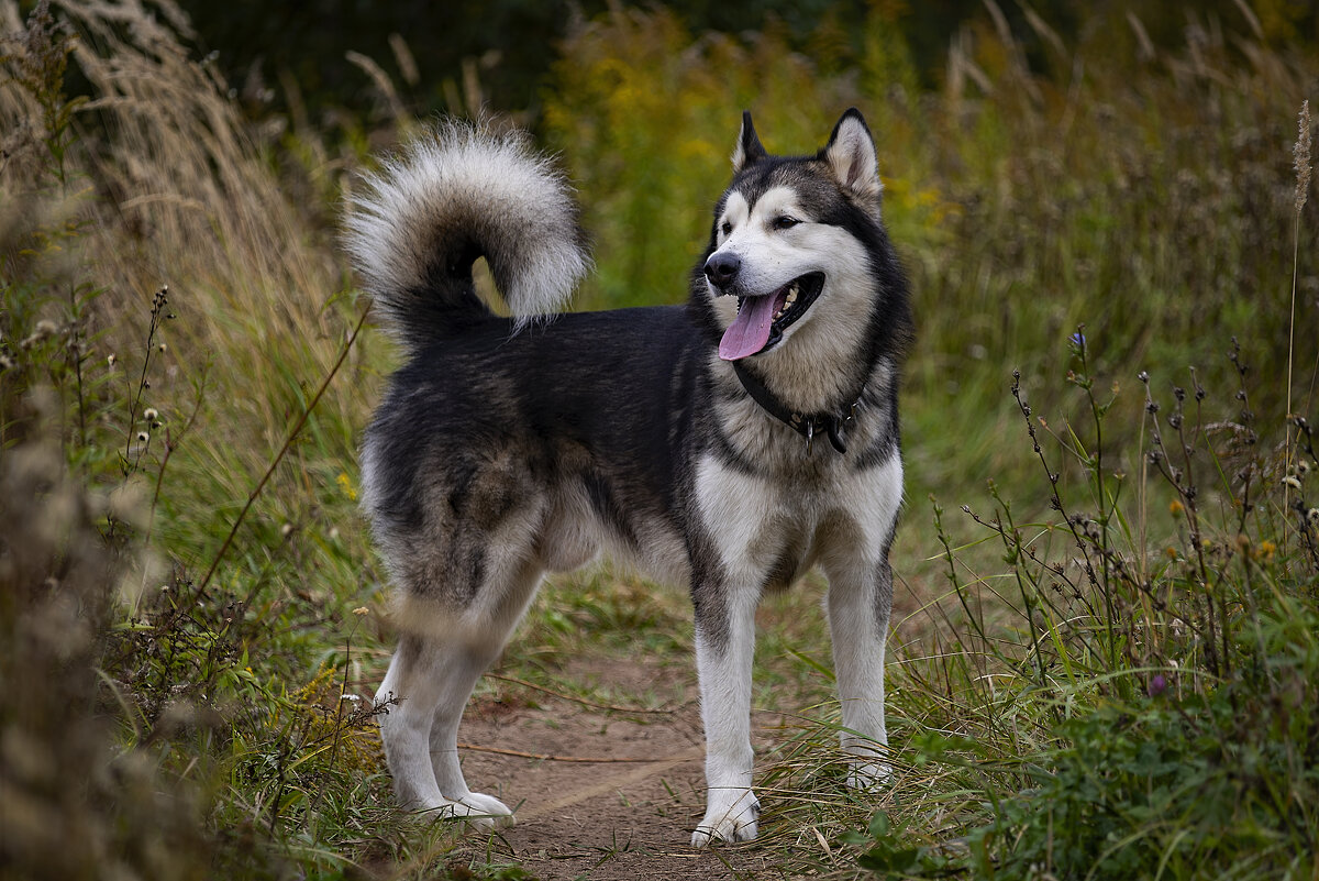 Ярик. - leff Postnov Ярик. - leff Postnov