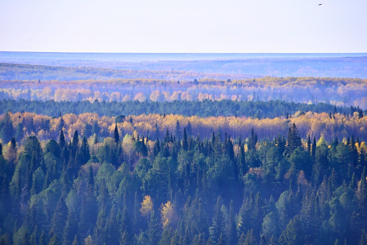 - - Владимир Мигонькин