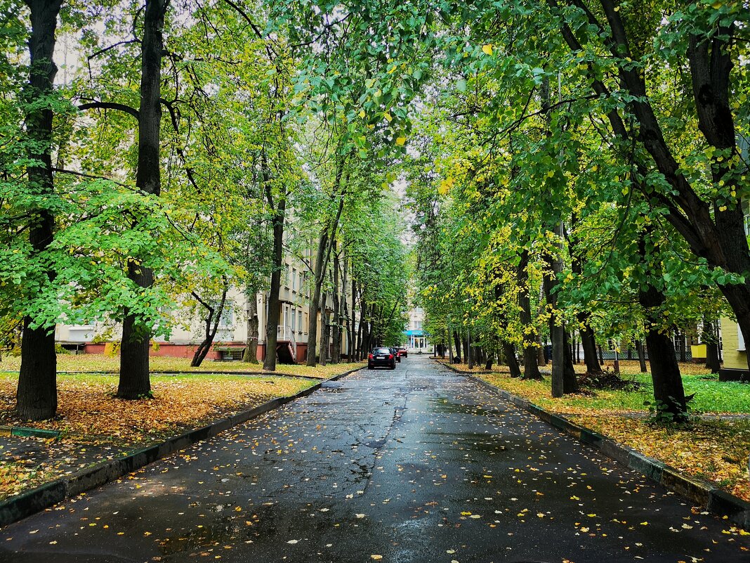 Москва, Врачебный проезд - Алексей Архипов