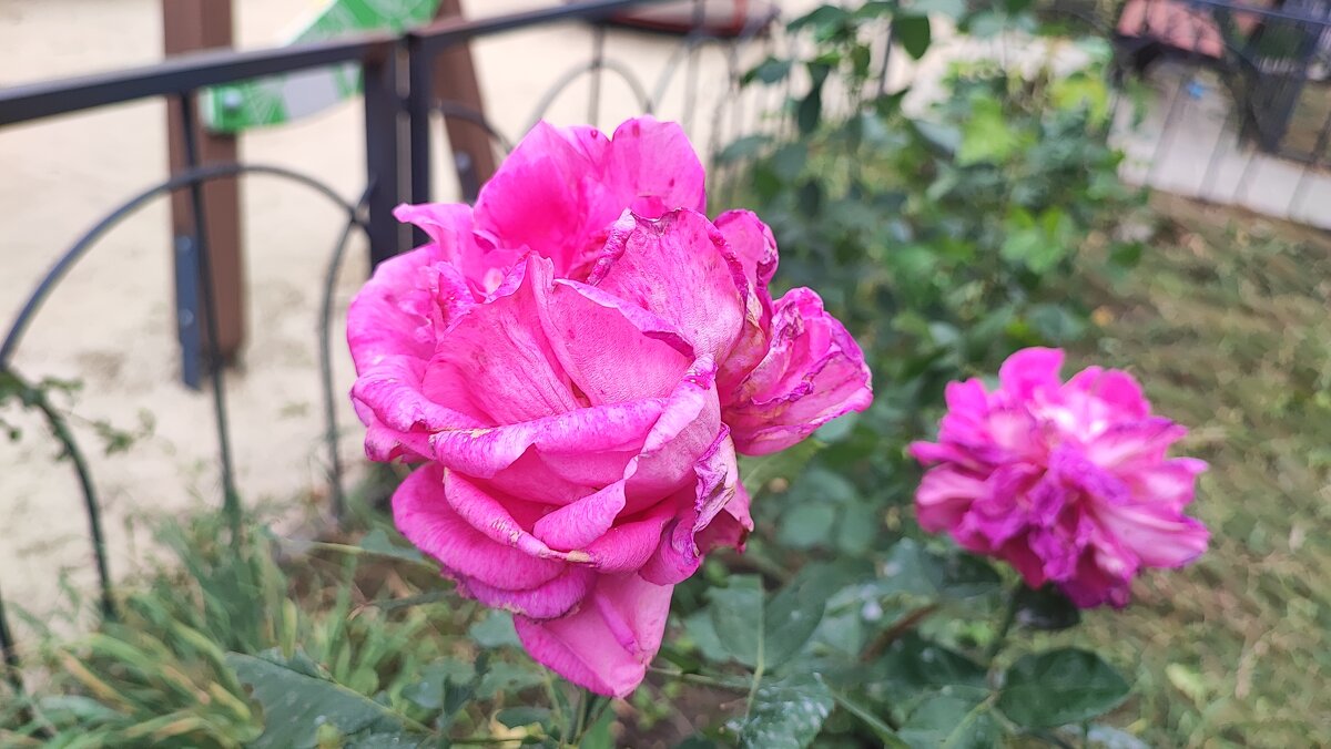 ,,, - Сергей Тимоновский