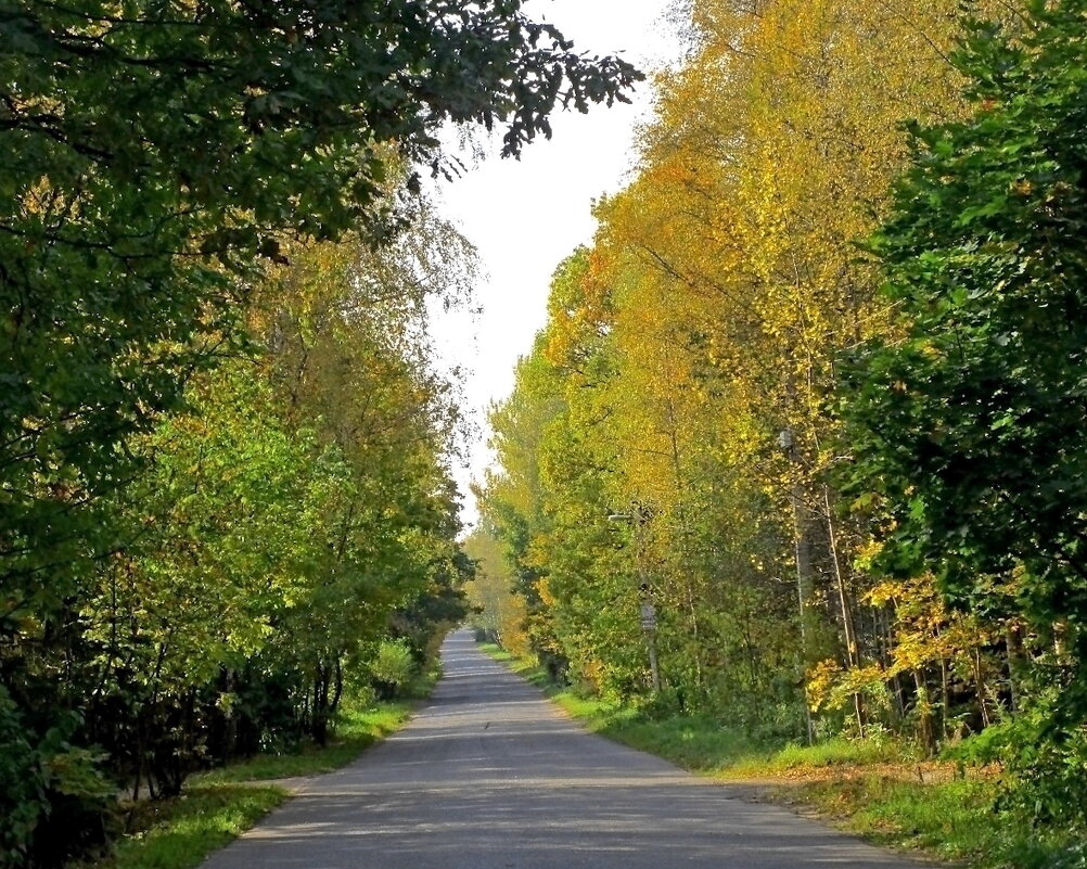 Дорога к дому. - Ольга Довженко Дорога к дому. - Ольга Довженко