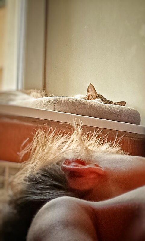 Доброе утро! - ВЛАДИМИР 