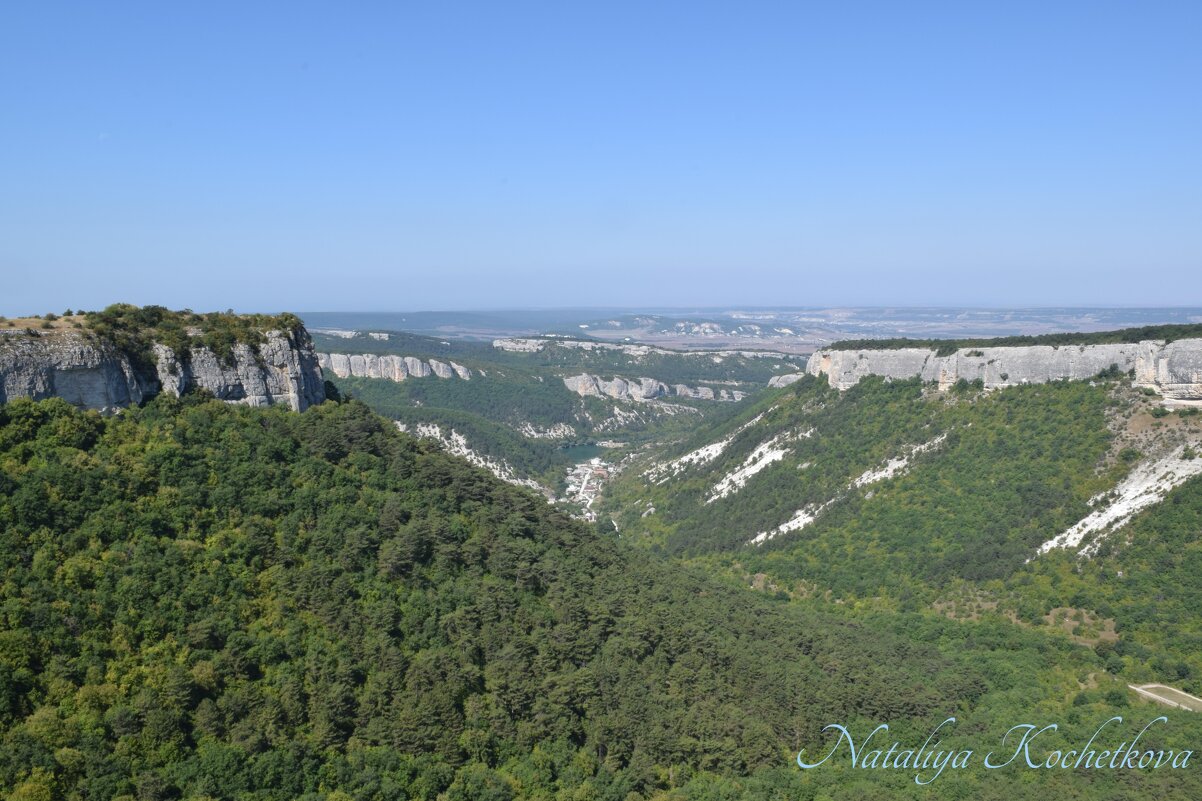 Природа Крыма - Amazing Cosmea
