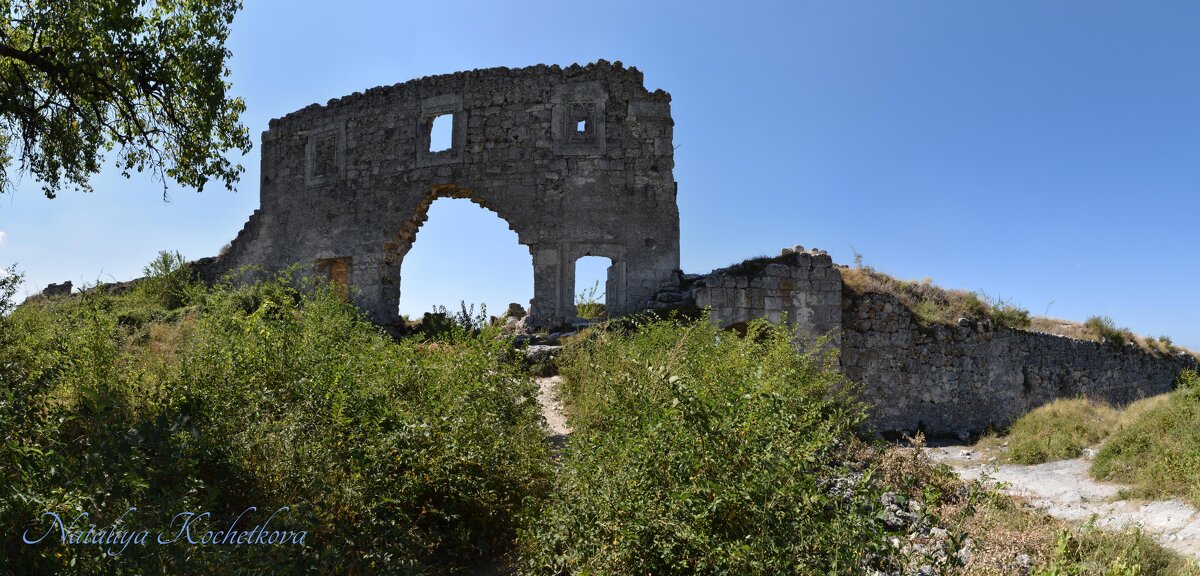 Природа Крыма - Amazing Cosmea