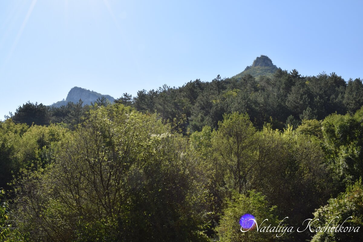 Природа Крыма - Amazing Cosmea