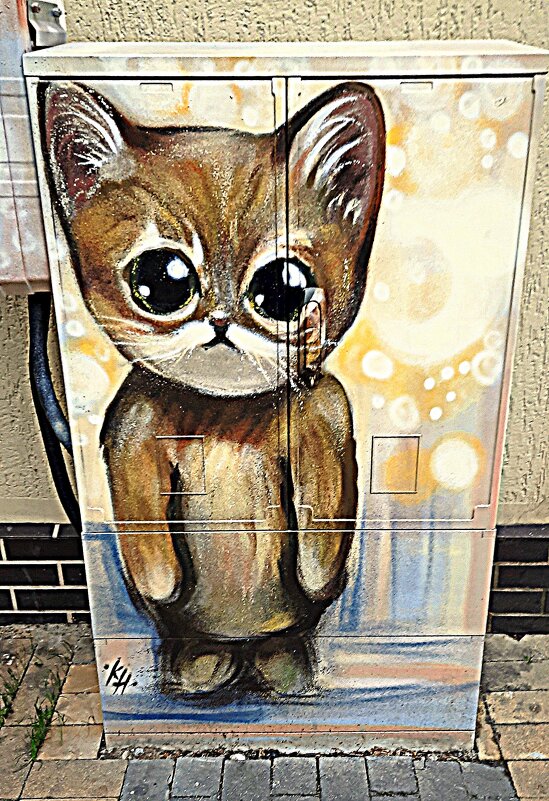 Зеленоградские коты - Ольга Зеленоградские коты - Ольга