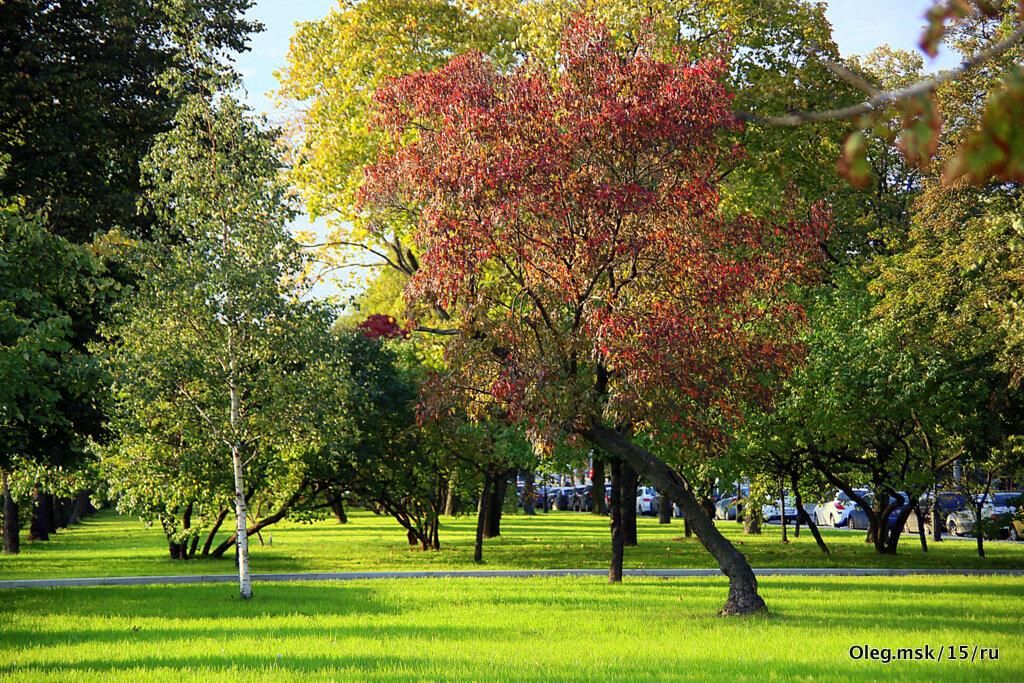 осень в городе - Олег Лукьянов осень в городе - Олег Лукьянов