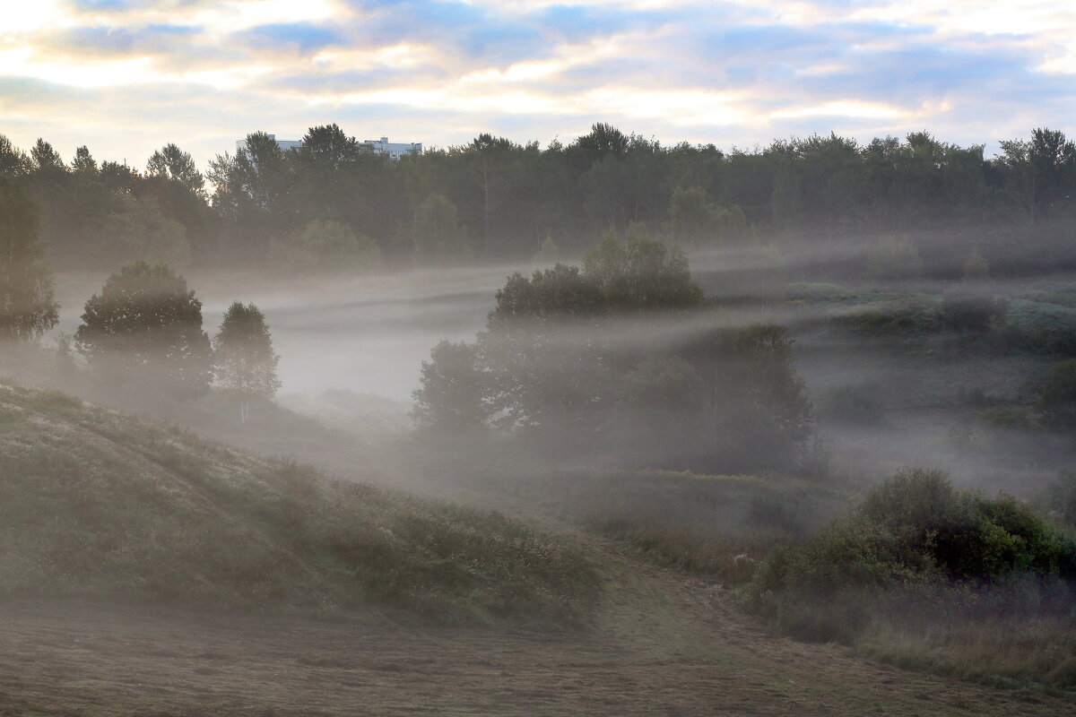 Царицыно 10 сентября - Михаил Бибичков