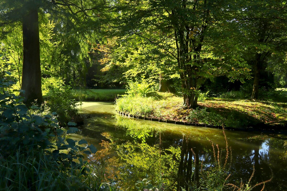 Пруд - Юрий. Шмаков