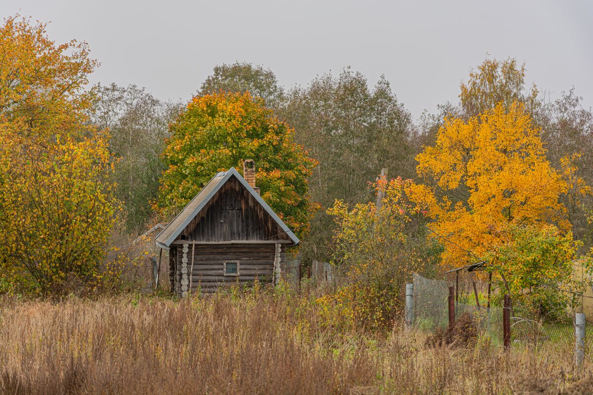 Когда приходит осень - Александр Филатов