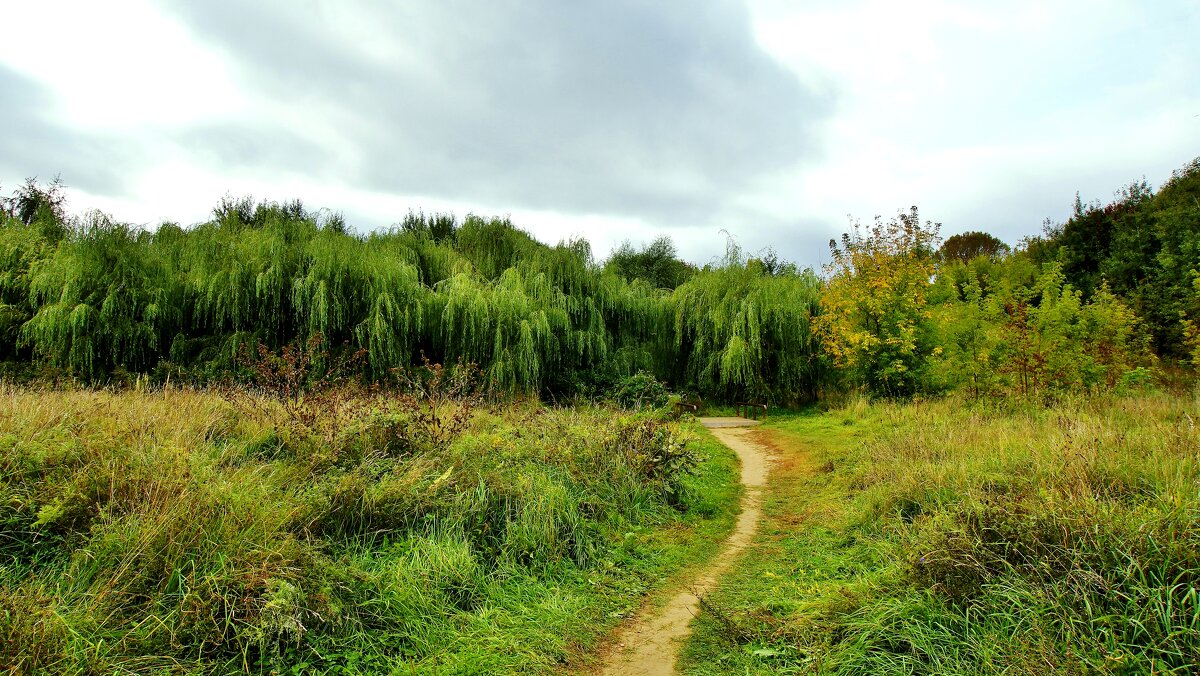 КОЛОМЕНСКОЕ - АЛЕКСАНДР 