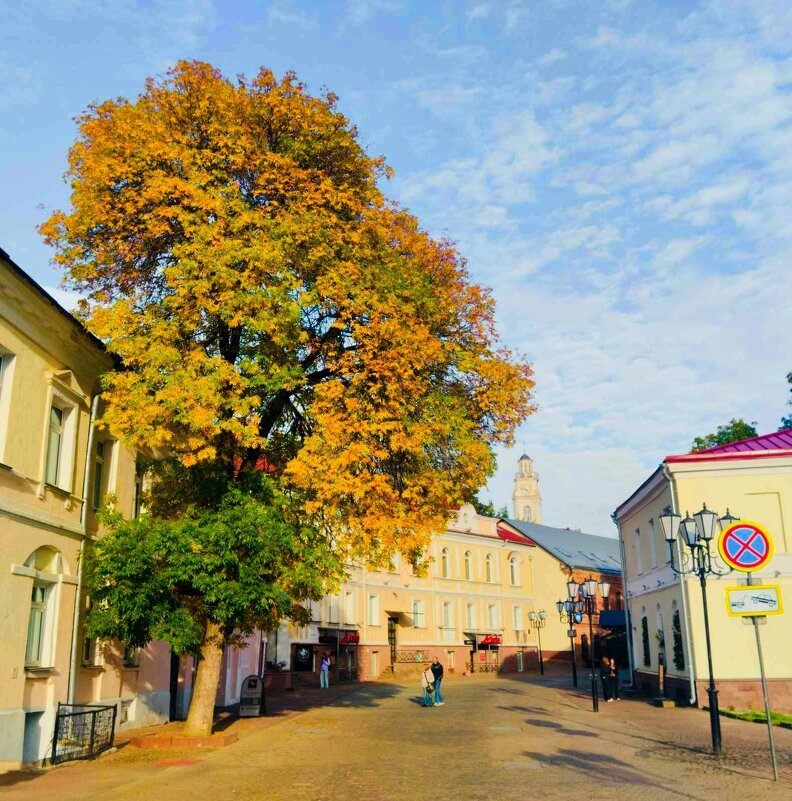 Осенний пейзаж - Галина Бобкина