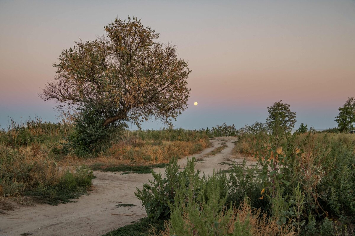 Восход луны - Константин Бобинский