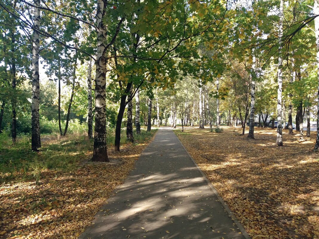 Свет и тени - Galina Solovova