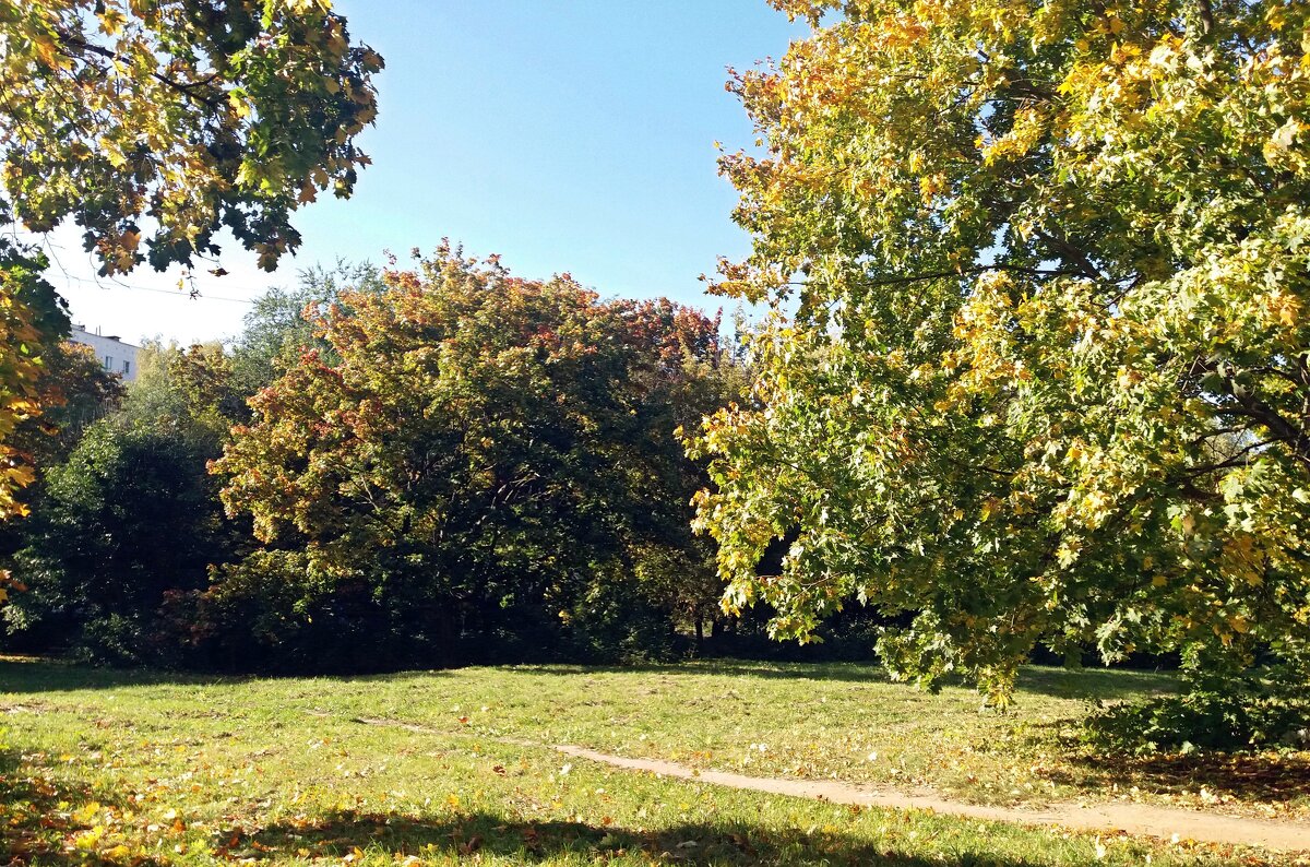 Осень красит листья клёнов - Galina Solovova Осень красит листья клёнов - Galina Solovova