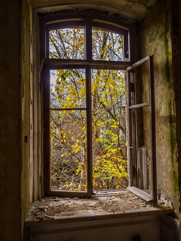 Окно в осень - Наталья Rosenwasser