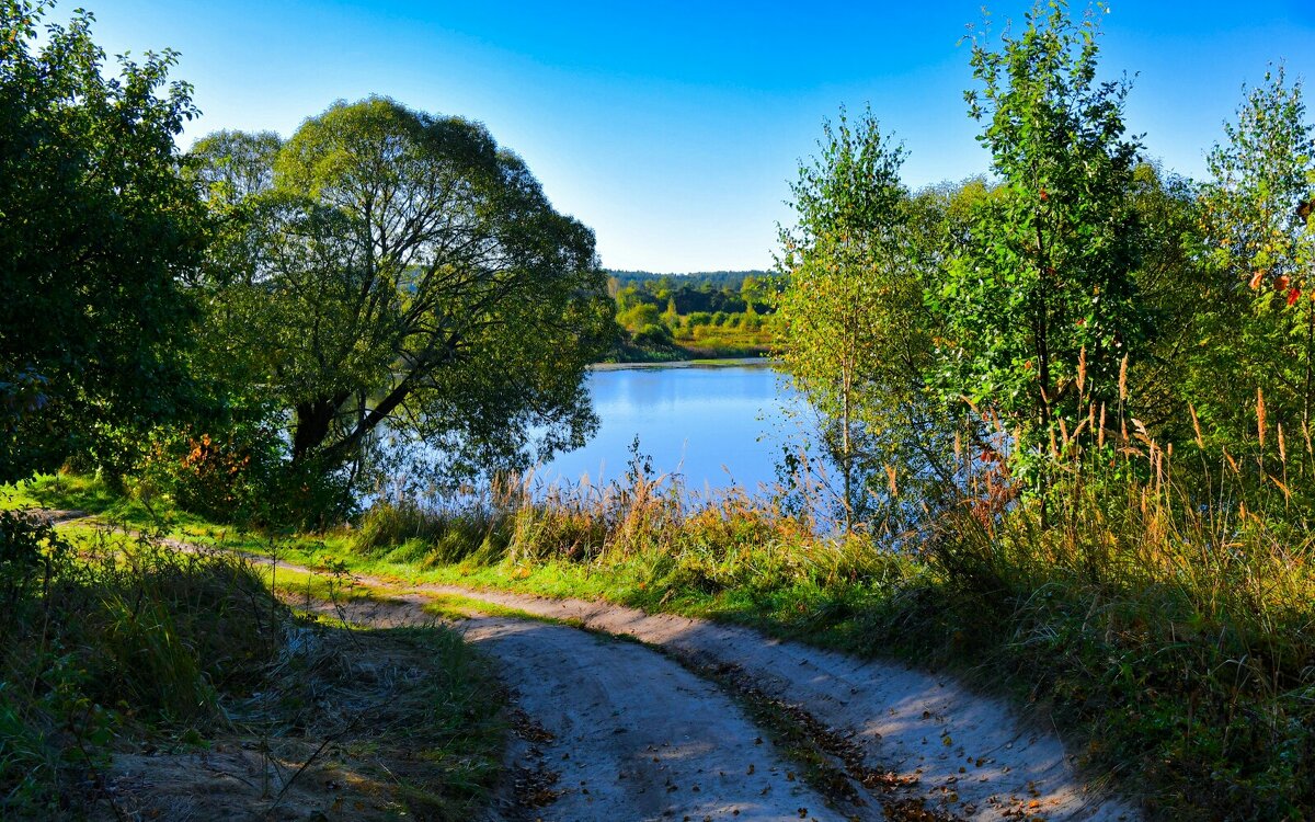 Осень в сентябре (репортаж из поездок по области). - Милешкин Владимир Алексеевич 