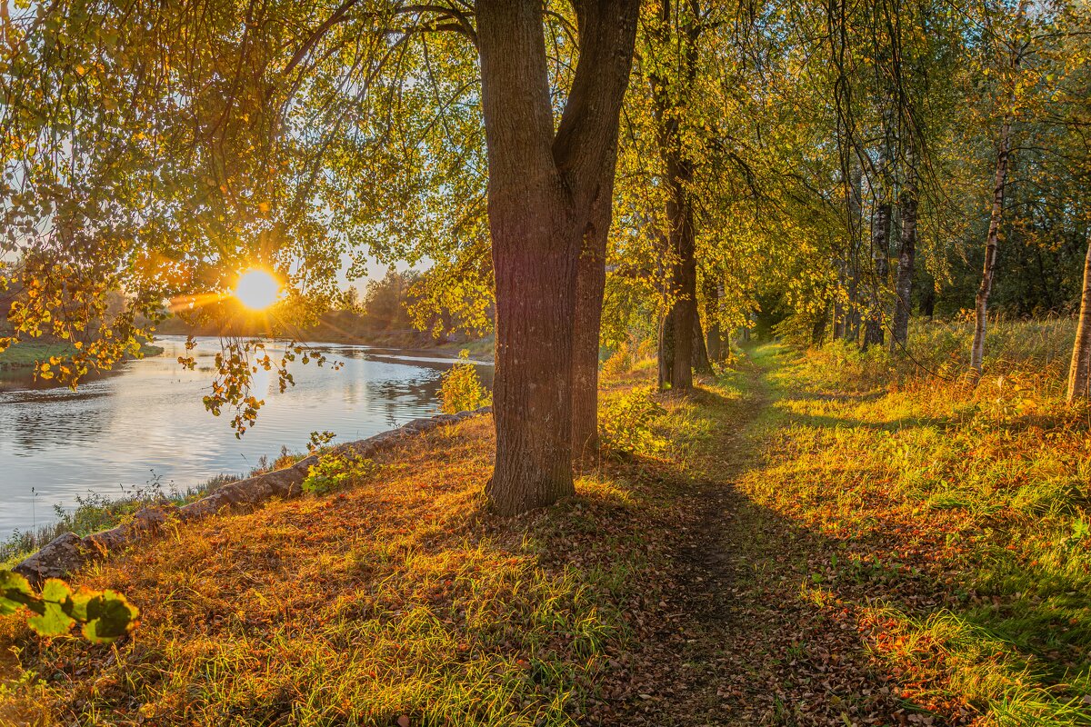 Золото Опеченского Посада(село) - Александр Филатов