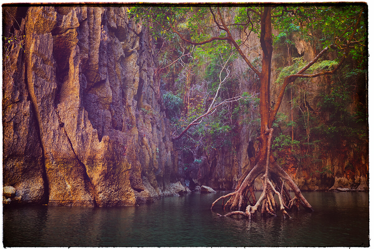*** - Алексей Карташев