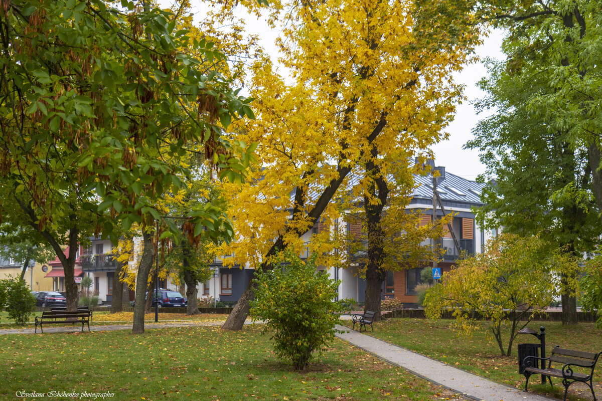 Новы Двор Мазовецки - Светлана Ищенко